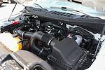 2019 Ford F-150 Regular Cab 4x4 Pickup for sale #58234 - photo 12