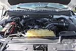 2017 Ford F-150 Regular Cab 4x2 Pickup for sale #58264 - photo 12
