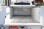 2021 Ford F-250 Crew Cab 4x2 Cab Chassis for sale #58311 - photo 10