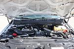 2019 Ford F-250 Regular Cab 4x2 Pickup for sale #58331 - photo 12