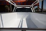 2019 Ford F-250 Regular Cab 4x2 Pickup for sale #58331 - photo 9