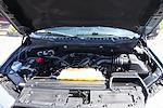 2020 Ford F-150 SuperCrew Cab 4x2 Pickup for sale #58468 - photo 10