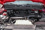 2021 Ford F-150 SuperCrew Cab 4WD Pickup for sale #58798 - photo 14