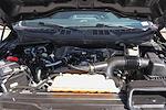 2023 Ford F-150 SuperCrew Cab 4WD Pickup for sale #58837 - photo 11