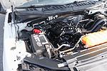 2017 Ford F-150 Regular Cab RWD Pickup for sale #59010 - photo 13