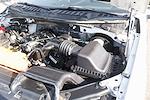 2017 Ford F-150 Regular Cab RWD Pickup for sale #59010 - photo 14