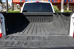 2017 Ford F-250 Crew Cab 4WD Pickup for sale #59073 - photo 9
