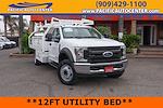 Used 2019 Ford F-550 Regular Cab Contractor Truck for sale #59094 - photo 1
