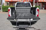 2017 Ford F-250 Crew Cab 4WD Pickup for sale #59675 - photo 8