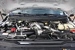 Used 2024 Ford F-350 XLT Crew Cab for sale #59781 - photo 12