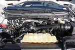 2021 Ford F-150 SuperCrew Cab 4WD Pickup for sale #59803 - photo 11