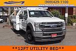 2020 Ford F-550 Crew Cab DRW 4WD Cab Chassis for sale #60804 - photo 1