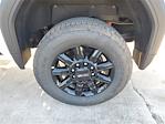 New 2025 GMC Sierra 2500 AT4 Crew Cab 4WD Pickup for sale #S4968 - photo 5