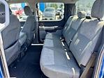 2023 Ford F-150 SuperCrew Cab 4WD Pickup for sale #25115A - photo 19
