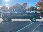 2024 Ford F-250 Crew Cab 4x4 Pickup for sale #260216A - photo 3