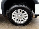 2020 GMC Sierra 3500 Crew Cab 4WD Pickup for sale #B260073A - photo 11