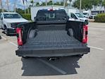 2025 Ford F-450 Crew Cab DRW 4WD Pickup for sale #10982 - photo 13