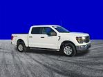 2023 Ford F-150 SuperCrew Cab 4WD Pickup for sale #11311 - photo 3