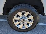Used 2020 Ford F-250 Platinum Crew Cab for sale #11318 - photo 4