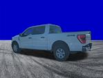 2023 Ford F-150 SuperCrew Cab 4WD Pickup for sale #11361 - photo 29