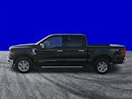 2024 Ford F-150 SuperCrew Cab 4WD Pickup for sale #11488 - photo 7