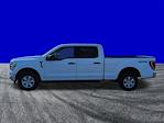 2022 Ford F-150 SuperCrew Cab 4WD Pickup for sale #11514 - photo 7