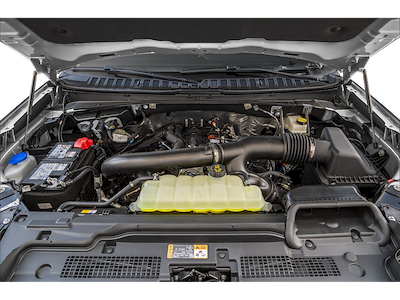 Used 2025 Ford Expedition MAX - photo 1