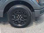 2025 Ford F-150 SuperCrew Cab RWD Pickup for sale #DTS0191 - photo 11