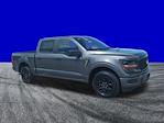 2025 Ford F-150 SuperCrew Cab RWD Pickup for sale #DTS0191 - photo 3