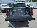 2025 Ford F-150 SuperCrew Cab 4WD Pickup for sale #DTS0231 - photo 13