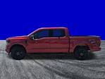 New 2025 Ford F-150 XLT SuperCrew Cab 4WD Pickup for sale #DTS0232 - photo 7