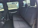 New 2025 Ford F-150 XLT SuperCrew Cab 4WD Pickup for sale #DTS0232 - photo 14