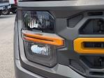 New 2025 Ford F-150 Tremor SuperCrew Cab 4WD Pickup for sale #DTS0399 - photo 10