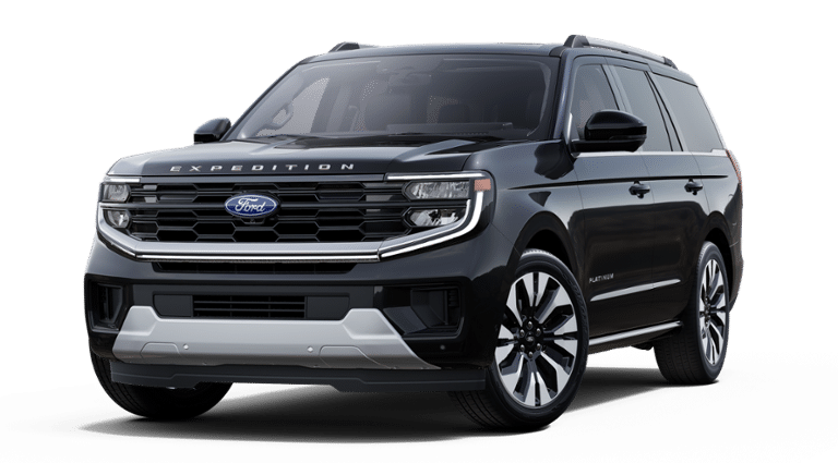 New 2025 Ford Expedition - photo 30