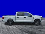 2025 Ford F-150 SuperCrew Cab 4WD Pickup for sale #DTS0511 - photo 22