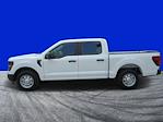 2024 Ford F-150 SuperCrew Cab RWD Pickup for sale #FR2810 - photo 6