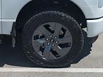 2024 Ford F-150 Lightning SuperCrew Cab AWD Pickup for sale #FR3010A - photo 11