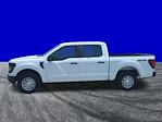 New 2025 Ford F-150 XL SuperCrew Cab 4WD Pickup for sale #FS0465 - photo 24
