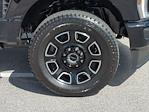 2025 Ford F-250 Crew Cab 4WD Pickup for sale #FS0703 - photo 9