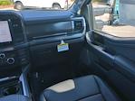 2025 Ford F-250 Crew Cab 4WD Pickup for sale #FS0712 - photo 16