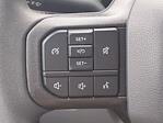 2025 Ford F-250 Crew Cab 4WD Pickup for sale #FS0775 - photo 19