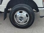 2024 Ford F-350 Crew Cab DRW 4WD Pickup for sale #FS0778A - photo 11