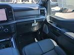 2025 Ford F-250 Crew Cab 4WD Pickup for sale #FS0808 - photo 16