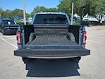 2023 Ford F-150 SuperCrew Cab 4WD Pickup for sale #FS0810A - photo 13