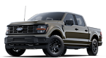 2025 Ford F-150 SuperCrew Cab 4WD Pickup for sale #FS0811 - photo 25