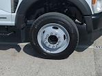 2025 Ford F-550 Regular Cab DRW RWD Cab Chassis for sale #FS0854 - photo 13