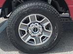 2025 Ford F-250 Crew Cab 4WD Pickup for sale #FS0998 - photo 6