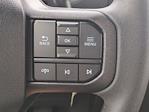 2025 Ford F-150 SuperCrew Cab RWD Pickup for sale #FS1039 - photo 19