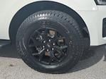 2024 Ford Expedition 4WD SUV for sale #FS1048A - photo 11