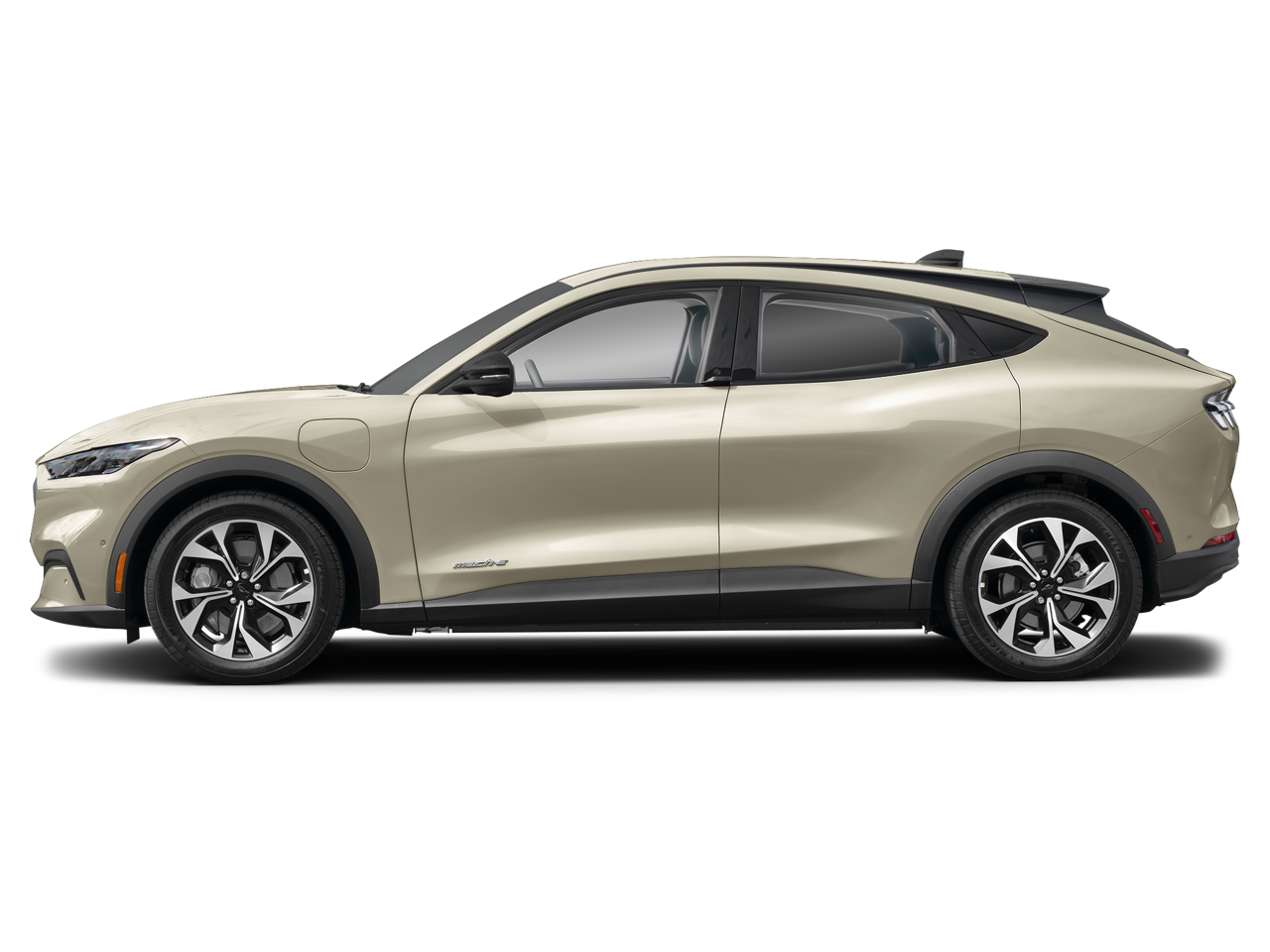 New 2025 Ford Mustang Mach-E - photo 10